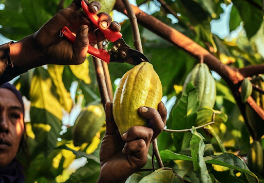 Imagem copia_165869929unnamed 2